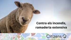 CONTRA ELS INCENDIS, RAMADERIA EXTENSIVA